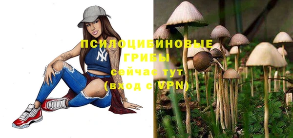 метадон Нея
